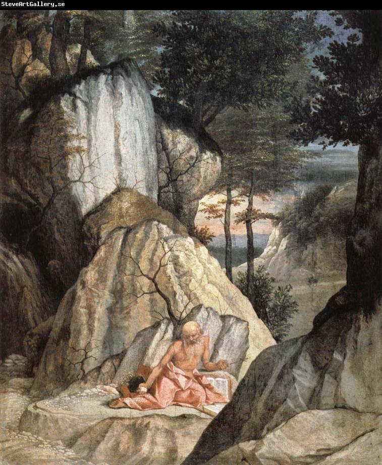 Lorenzo Lotto St. Jerome in penitence